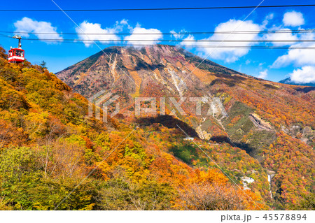 《栃木県》秋の日光・紅葉と明智平ロープウェイ 《栃木県》秋の日光・紅葉と明智平ロープウェイ 45578894
