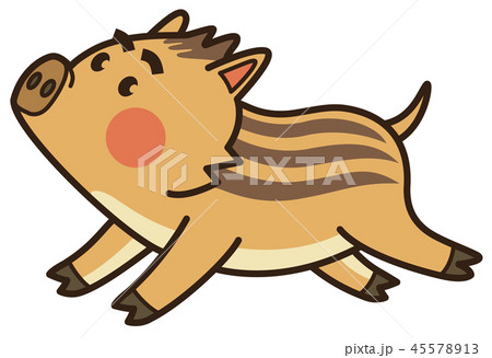 走るウリボウ 走るウリボウ 45578913