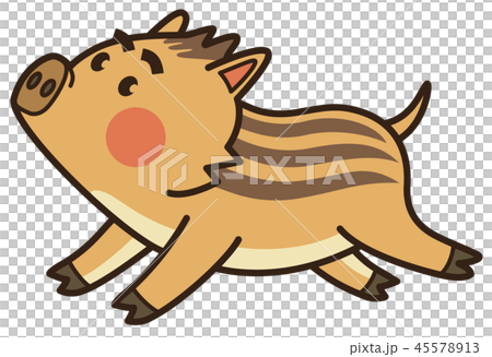 走るウリボウ 走るウリボウ 45578913
