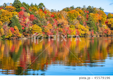 《栃木県》秋の日光・八丁出島の紅葉 《栃木県》秋の日光・八丁出島の紅葉 45579196