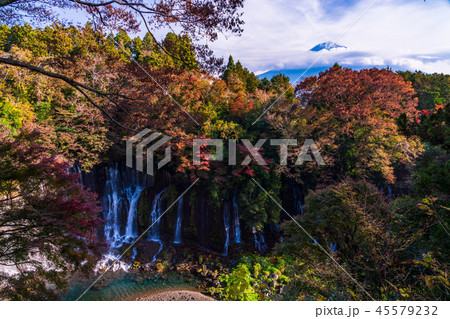 【静岡県】白糸ノ滝　富士山　紅葉 45579232