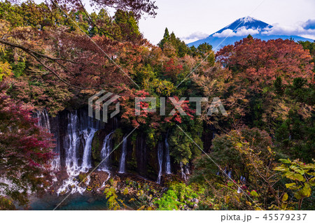 【静岡県】白糸ノ滝　富士山　紅葉 45579237