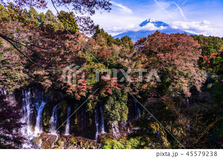 【静岡県】白糸ノ滝　富士山　紅葉 45579238