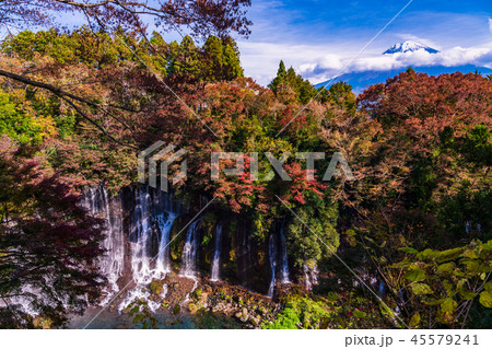 【静岡県】白糸ノ滝　富士山　紅葉 45579241