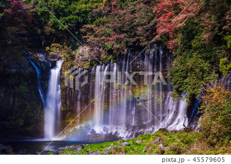 【静岡県】白糸ノ滝　虹と紅葉 45579605
