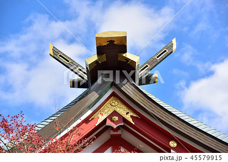 神社の千木と堅魚木 45579915