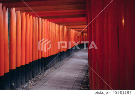 Pathway orii gates at Fushimi Inari Shrine at night and rain Kyoto, Japan. Pathway orii gates at Fushimi Inari Shrine at night and rain Kyoto, Japan. 45581197