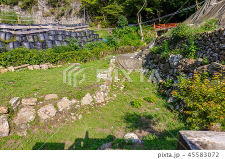 水路と石垣 信長居館 岐阜城山麓 45583072