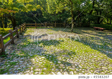 岐阜城山麓 信長居館跡 岐阜城山麓 信長居館跡 45583207