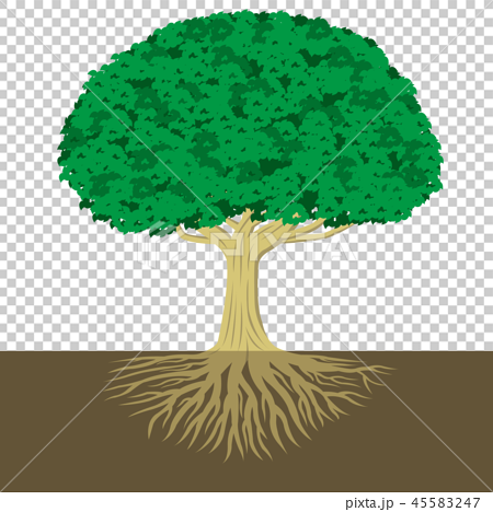 Tree And Roots Stock Illustration