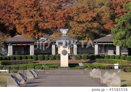 大分・平和市民公園 大分・平和市民公園 45583556
