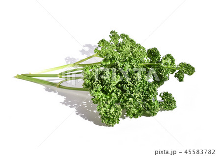 パセリ 45583782