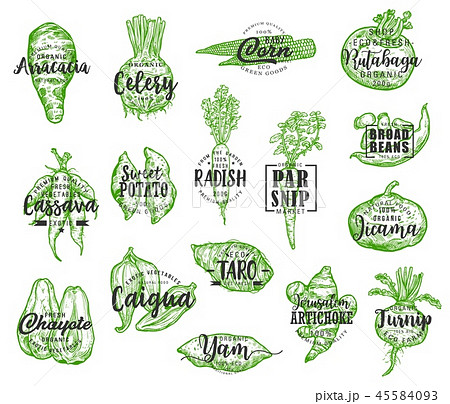 Exotic vegetable silhouettes with lettering 45584093