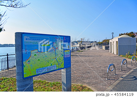 江川河畔公園 江川河畔公園 45584119