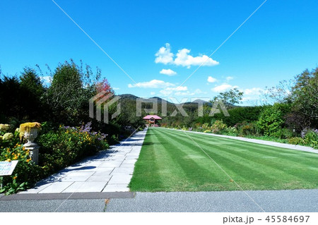 ゆにガーデンのお花畑 45584697