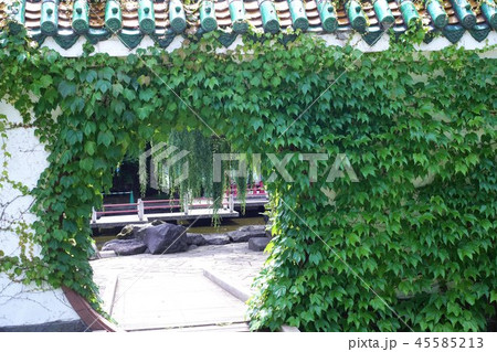 人気の中国庭園 45585213