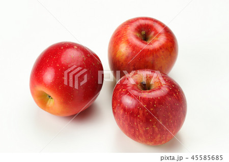 信州りんご　サンふじ　３個 45585685