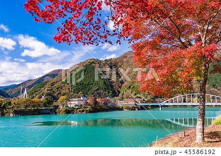 （神奈川県）丹沢湖　湖畔の紅葉 45586192