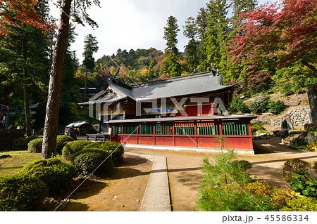 妙義神社の紅葉 妙義神社の紅葉 45586334
