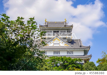 岐阜城跡 復興天守閣 岐阜城跡 復興天守閣 45586360