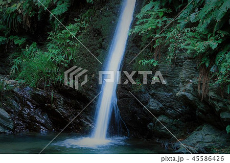宿谷の滝(埼玉県毛呂山町) 宿谷の滝(埼玉県毛呂山町) 45586426
