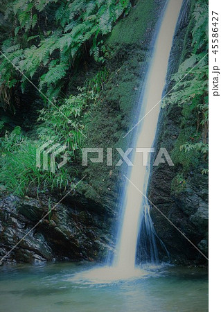 宿谷の滝（埼玉県毛呂山町） 45586427