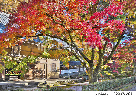 錦秋の永源寺 45586933
