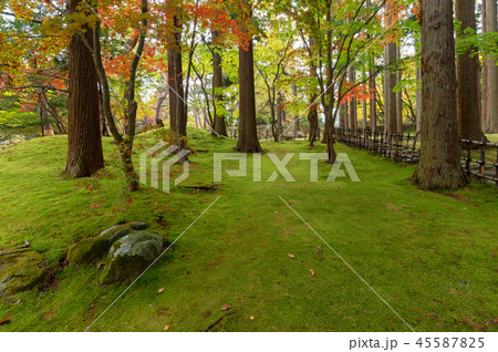 【北海道函館】香雪園は豪商岩船家が別荘として明治３１年頃から造成した本格的「風景式庭園」 45587825
