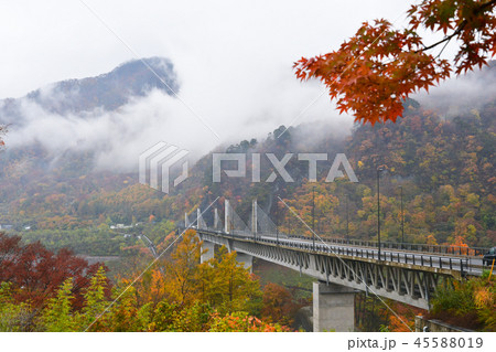 八ッ場ダム不動大橋の紅葉の写真素材