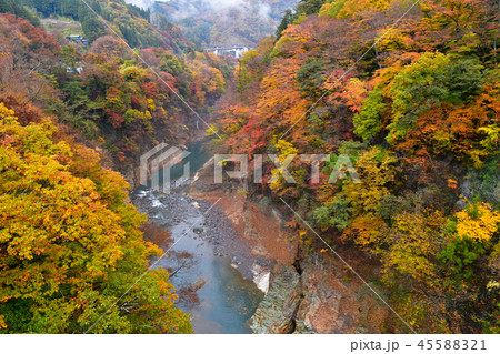 吾妻渓谷の紅葉の写真素材 4551
