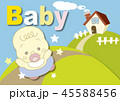 Baby 45588456