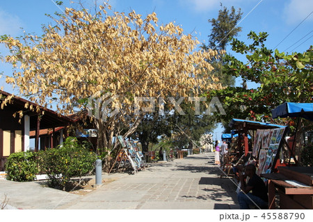 モロ要塞周辺の露店 モロ要塞周辺の露店 45588790