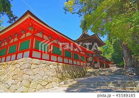 【石上神宮】 奈良県天理市布留町 45589165