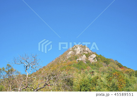 秋色の太郎坊宮 45589551