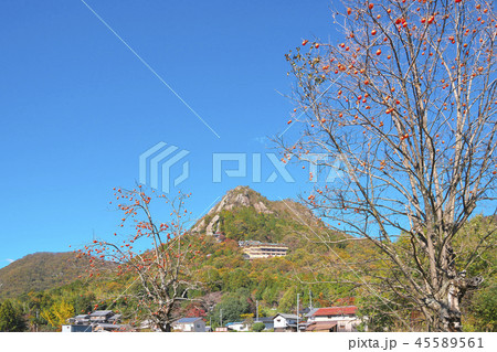 秋色の太郎坊宮 秋色の太郎坊宮 45589561