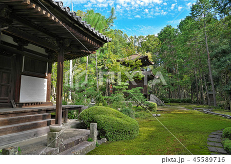 【慈眼院】 大阪府泉佐野市日根野 45589716