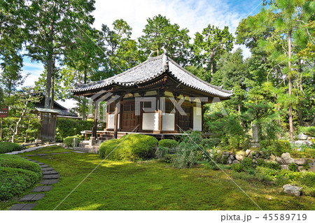 【慈眼院】 大阪府泉佐野市日根野 45589719