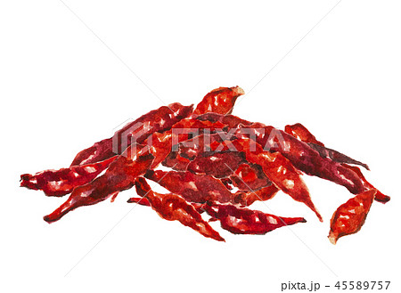 唐辛子 赤唐辛子 45589757