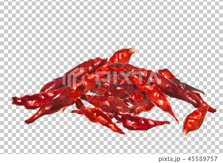唐辛子 赤唐辛子 45589757