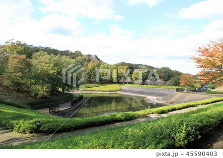 神奈川県厚木市 あつぎつつじの丘公園 神奈川県厚木市 あつぎつつじの丘公園 45590403