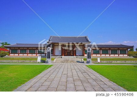 【薬師寺 玄奘三蔵院伽藍】 奈良県奈良市西ノ京町 45590406