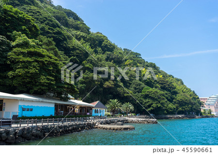 淡島の海岸 淡島の海岸 45590661