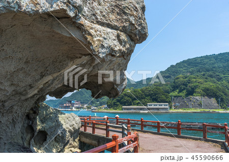 淡島の獅子岩 淡島の獅子岩 45590666