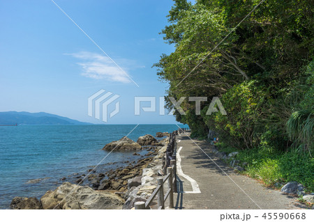 淡島の遊歩道 45590668