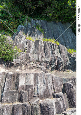 淡島の柱状節理 45590671
