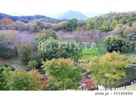 神奈川県厚木市　あつぎつつじの丘公園 45590889