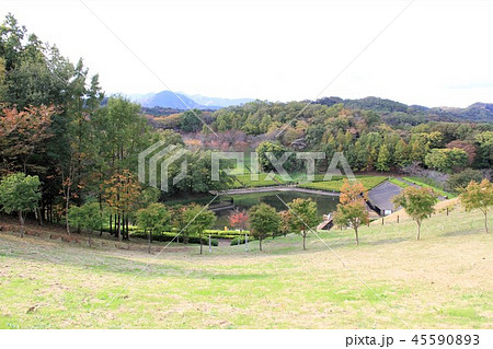 神奈川県厚木市 あつぎつつじの丘公園 神奈川県厚木市 あつぎつつじの丘公園 45590893