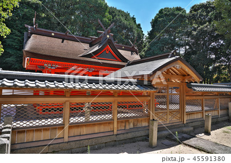 【積川神社】 大阪府岸和田市積川町 【積川神社】 大阪府岸和田市積川町 45591380