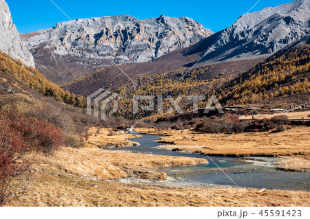 Sacred tibetan mountain with golden meadow Sacred tibetan mountain with golden meadow 45591423