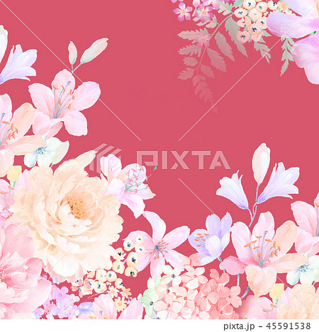 花 フラワー お花 45591538